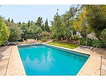 3219889 Venta de casa con piscina y terraza en Guadalmina (Marbella (Municipio))