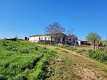 20210317_104714.jpg Venta de terrenos en Las Vaguadas-Urbanizaciones Sur-Carretera de Valverde (Badajoz)