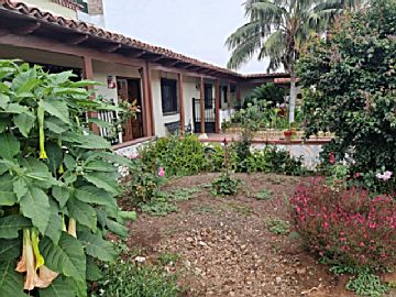 1e3bd622-3dac-4caa-88ed-70e8d28336ae.JPG Venta de casa en Tejina (San Cristóbal de la Laguna), TEJINA