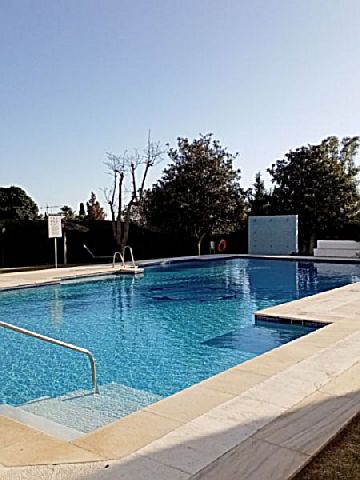 IMG_4254.JPG Alquiler de piso con piscina en Guadalmina (Marbella (Municipio))