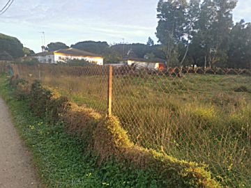 Foto Venta de terreno en Chiclana de la Frontera, La rana verde