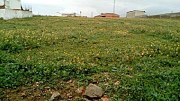 Foto Venta de terreno en Chiclana de la Frontera, Carretera de medina